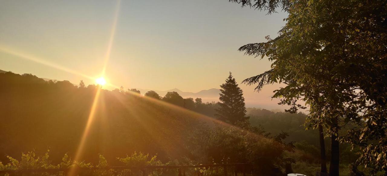 "Il Casaletto" Agriturismo Moderno, Vista Panoramica E Cibo Spettacolare- Scurcola Marsicana Exteriör bild