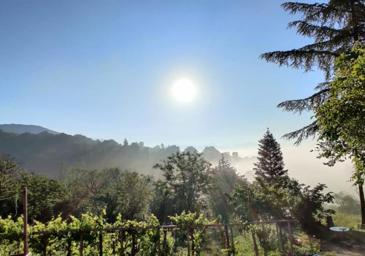 "Il Casaletto" Agriturismo Moderno, Vista Panoramica E Cibo Spettacolare- Scurcola Marsicana Exteriör bild