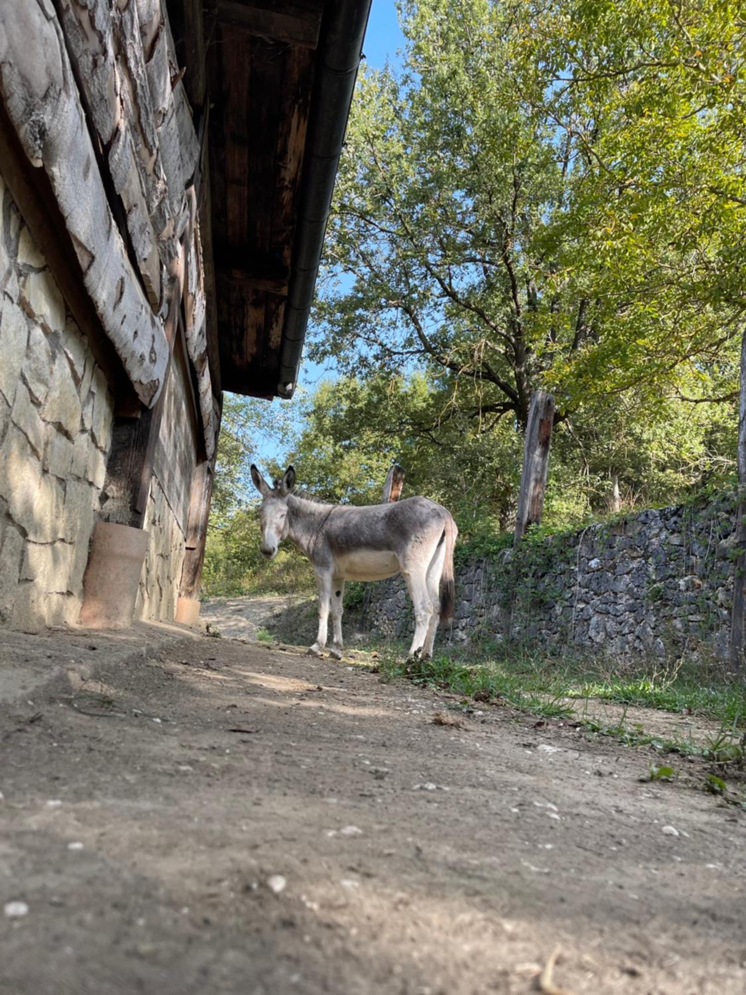 "Il Casaletto" Agriturismo Moderno, Vista Panoramica E Cibo Spettacolare- Scurcola Marsicana Exteriör bild